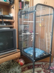 Вольер для птиц Можно для животных  - вольер.jpg