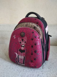 Ранец для девочки - IMG_20180902_153232.jpg