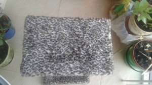 Когтеточка в дар - 20180905_065742.jpg