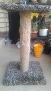 Когтеточка в дар - 20180905_065729.jpg