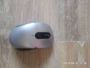 Даром мышь - photo_2018-09-11_16-23-04.jpg