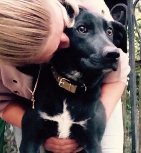 Стёпа, 4 мес в дар - 1.jpg