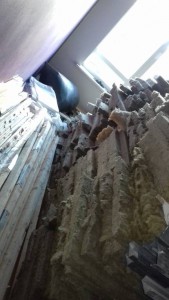 ОТДАМ БЕСПЛАТНО САМОВЫВОЗ - 20181012_155956.jpg