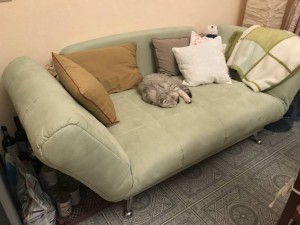 2 Дивана с клопами - otdamtak_ru.jpg