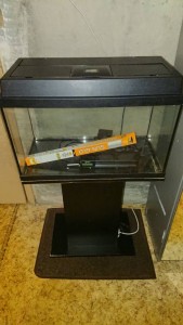 Аквариум - DSC_0508.JPG