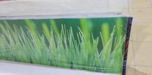 Подарю красивые фартуки для кухни из абс пластика - Фартук трава.JPEG