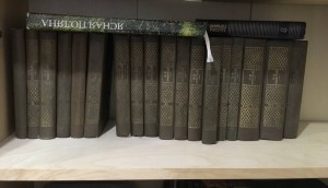 Отдано - E1060390-AF7D-4113-817C-08EDA068AFA2.jpeg