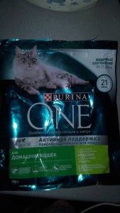 Приму в дар корм для кастрированных котов - IMG_20190502_081748.jpg