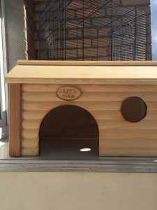 Для грызунов - C8618254-5DFC-40AD-B555-9E762401DF5B.jpeg