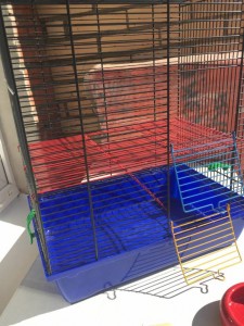 Для грызунов - B0D67338-C741-4691-9CBC-E58437D57B48.jpeg