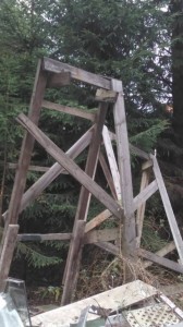 Дрова, доски отдам даром - IMG-20190905-WA0004.jpg