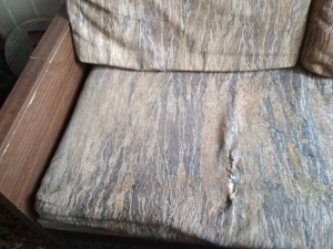 Кушетка даром самовывоз - кушетка12.jpeg