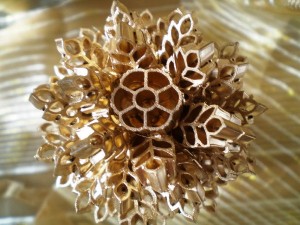 Экономным хозяйкам 128176; 128176; 128176; 128176; 128176; 128176; 128176; 128176; 128176; 128176; 128176; - макароны в золоте.jpg