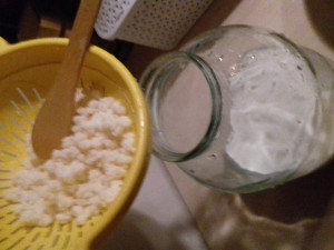 Кефирный гриб