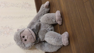 Отдам даром много мягких игрушек - 20200403_190536.jpg