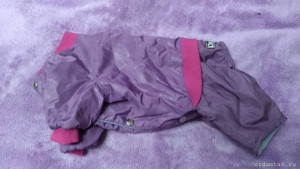 Комбинезоны для маленькой собачки - P_20210110_180940_vHDR_On.jpg