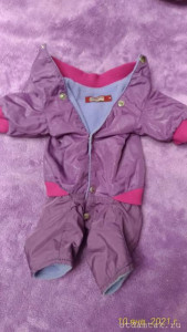 Комбинезоны для маленькой собачки - P_20210110_181045_vHDR_On.jpg