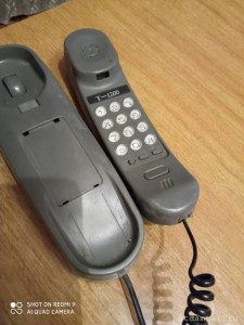 Отдам - IMG_20221120_162325.jpg