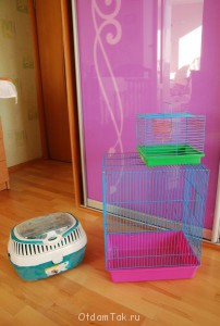 Отдам две клетки, переноску для животных - DSC_1554.JPG