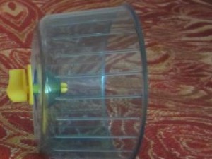 Колесо для хомяка-джунгарика - колесо для бега.jpg